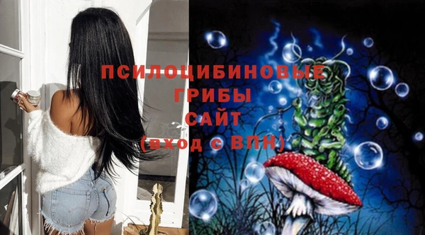 а пвп мука Инсар