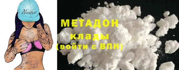 прущие грибы Абаза